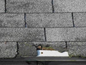 How to replace missing shingles