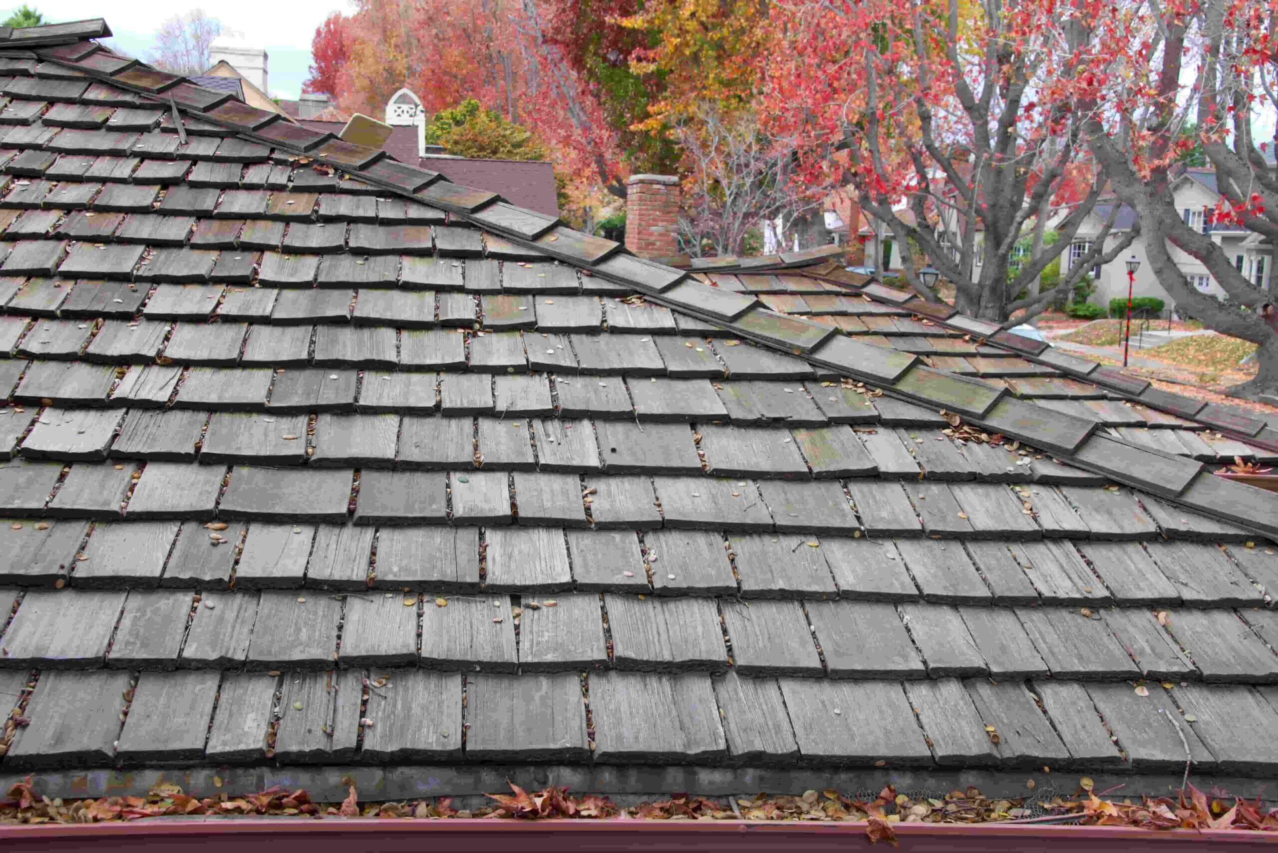 7 Telltale Signs It’s Time to Re-roof Your Property