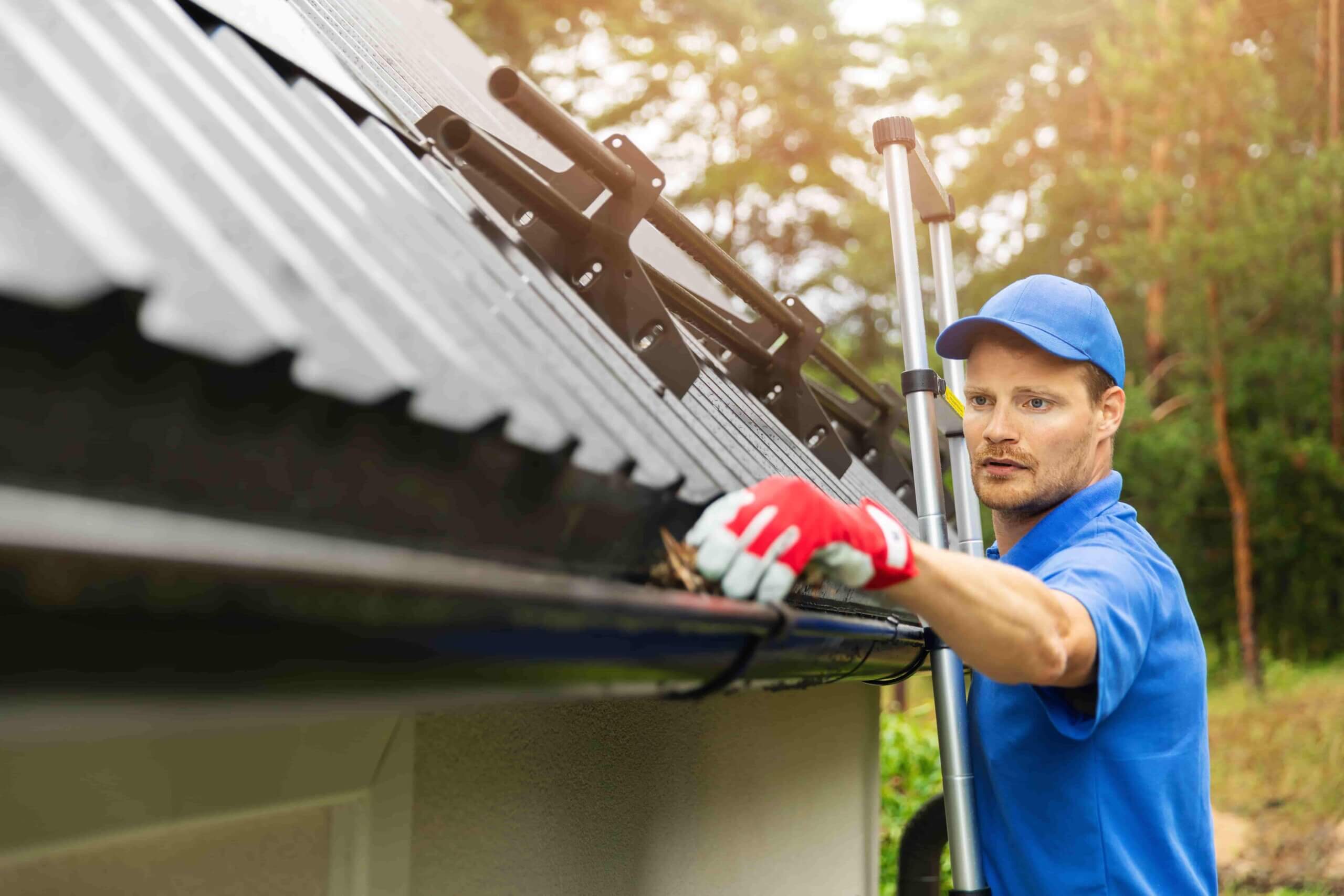 Is Roof Cleaning Needed: Everything You Need to Know About Tidying Up Your Roof