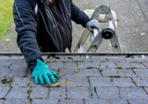 What maintenance is required for roof?