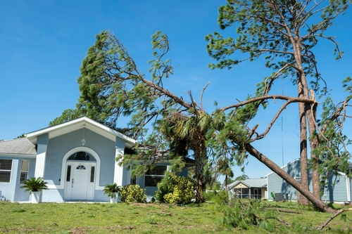 How can I tell if my roof has storm damage