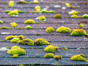 How do I get rid of moss on my roof safely?