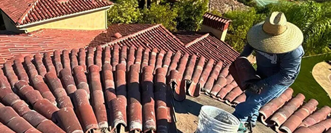 Learn about our roofing services