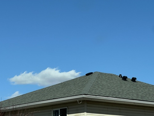 Who can I call for reliable roof repair in La Mesa